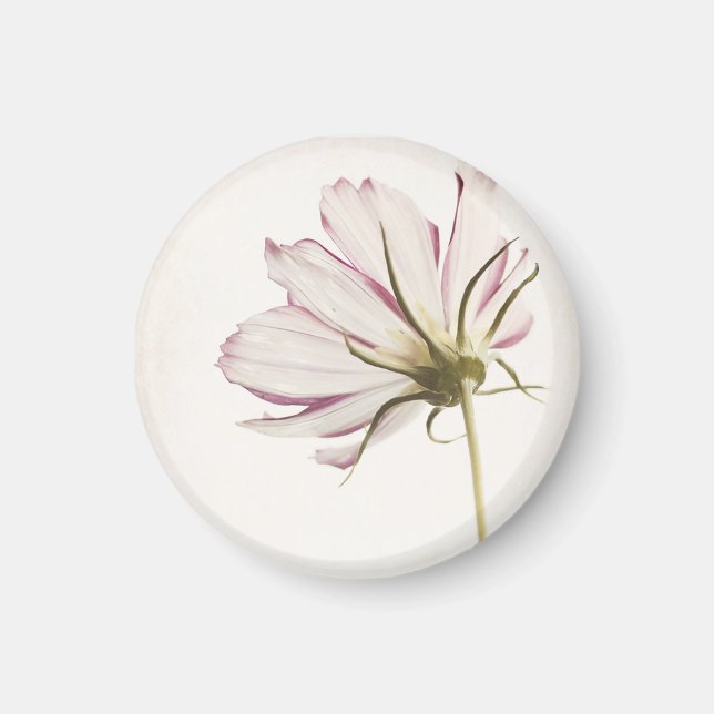 Imã "Fique na Luz" (Frente)