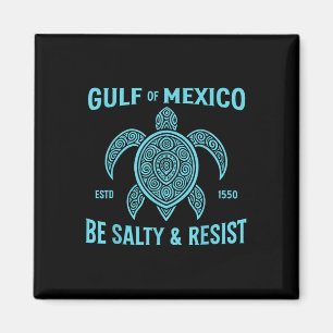 Imã Fique No Golfo Do México Salgado E Resista À Tarta