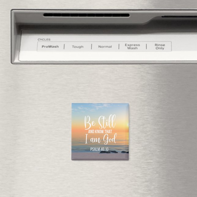 Imã Fique quieto e saiba que eu sou Deus (In Situ (Dishwasher))