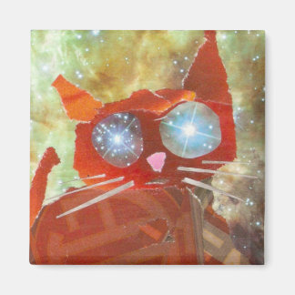 Imã Fire Cat