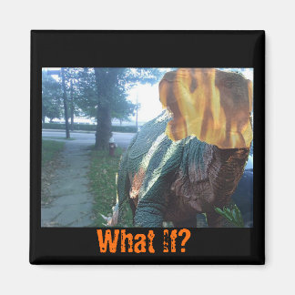 Imã Firery Dino, E Se?