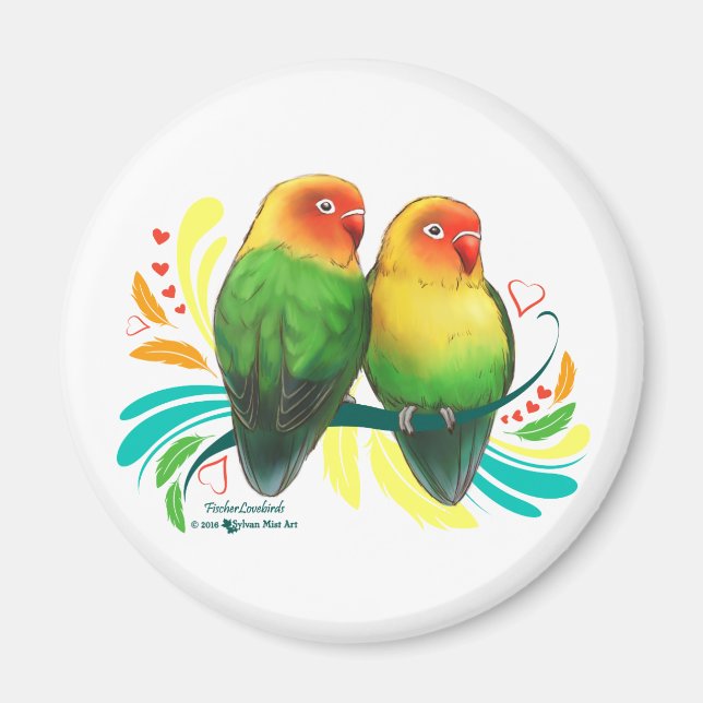 Imã Fischer Lovebird (Frente)