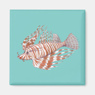 Imã Fish Manchu Magnet