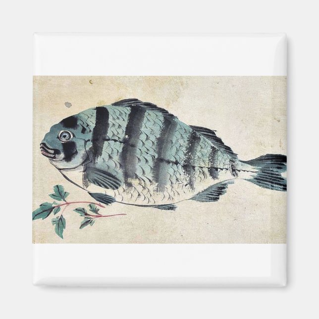 Imã Fish Ukiyo-e. (Frente)