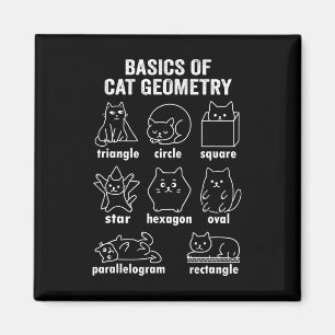 Imã Física Divertida Da Geometria Do Gato De Volta à M