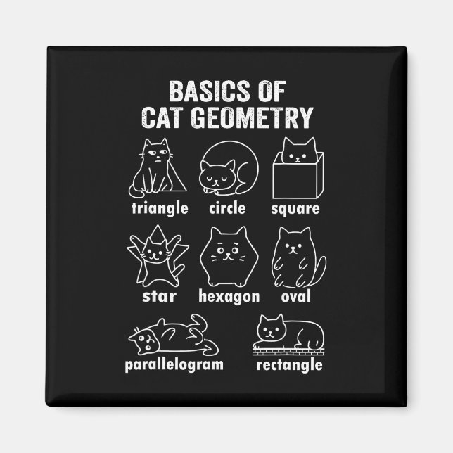 Imã Física Divertida Da Geometria Do Gato De Volta à M (Frente)