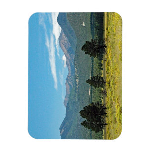 Ímã Flagstaff, Arizona