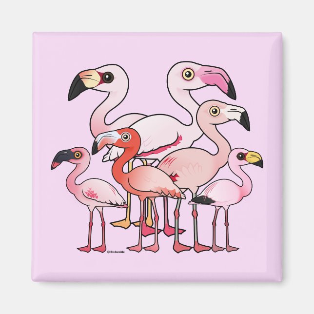 Imã Flamboyance (Frente)