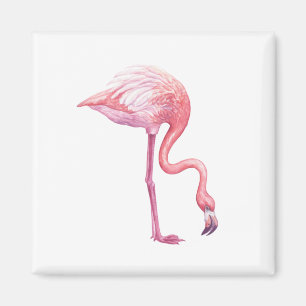 Imã Flamingo