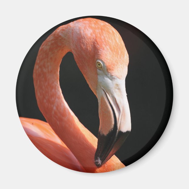 Imã flamingo (Frente)