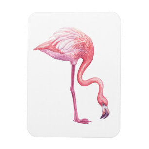 Ímã Flamingo