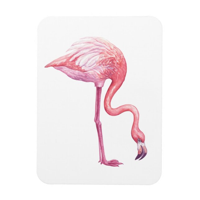 Ímã Flamingo (Vertical)