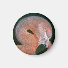 Imã Flamingo