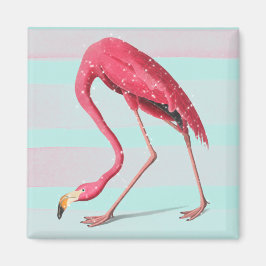 Imã Flamingo