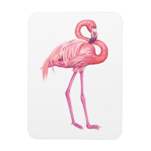 Ímã Flamingo 2