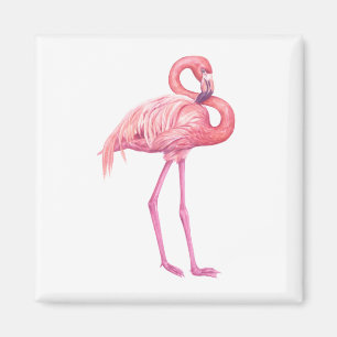 Imã Flamingo 2