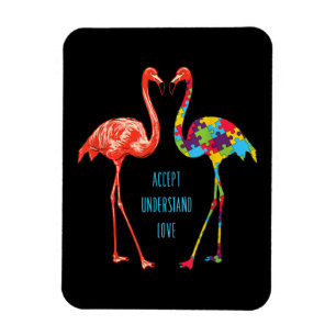 Ímã Flamingo Aceitar Autismo De Amor Flamingo