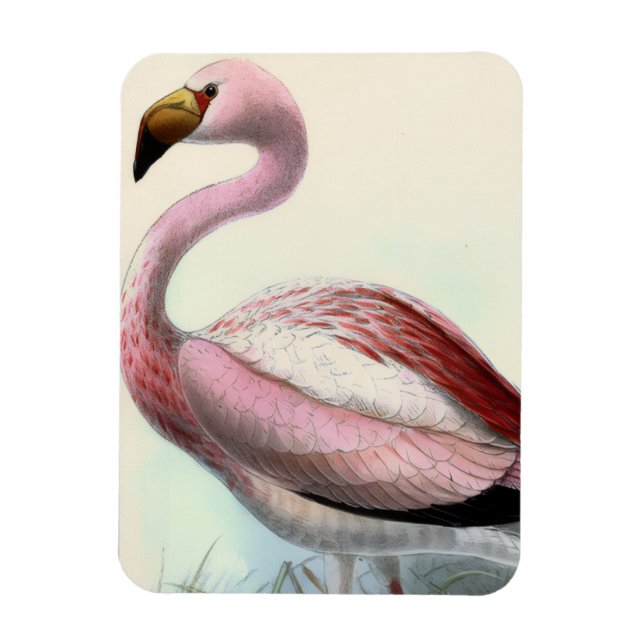 Ímã Flamingo Antigo (Vertical)