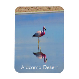 Ímã Flamingo Atacama Desert - Imagem Flexível