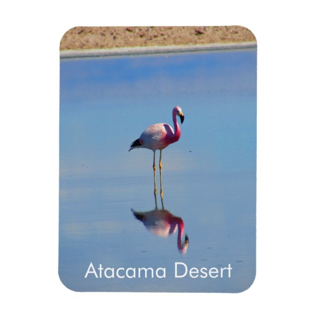 Ímã Flamingo Atacama Desert - Imagem Flexível (Vertical)