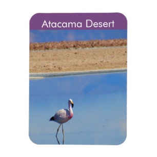 Ímã Flamingo Atacama Desert - Imagem Flexível