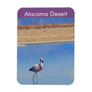 Ímã Flamingo Atacama Desert - Imagem Flexível