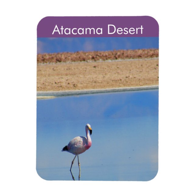 Ímã Flamingo Atacama Desert - Imagem Flexível (Vertical)