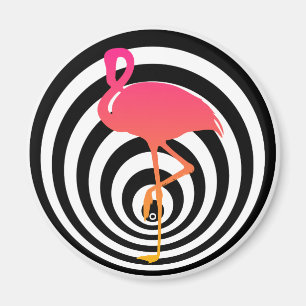 Imã Flamingo bonito nos círculos
