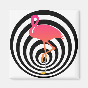 Imã Flamingo bonito nos círculos