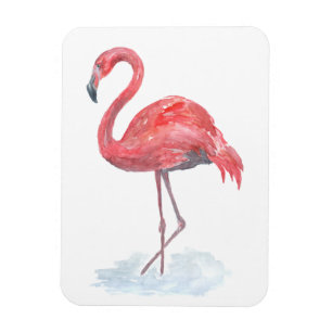 Ímã Flamingo cor-de-rosa da aguarela.