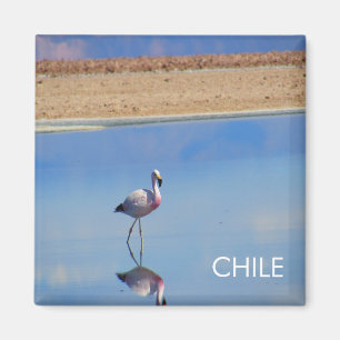 Imã Flamingo, Deserto de Atacama, Imagem do Chile
