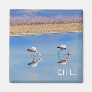 Imã Flamingo, Deserto de Atacama, Imagem do Chile