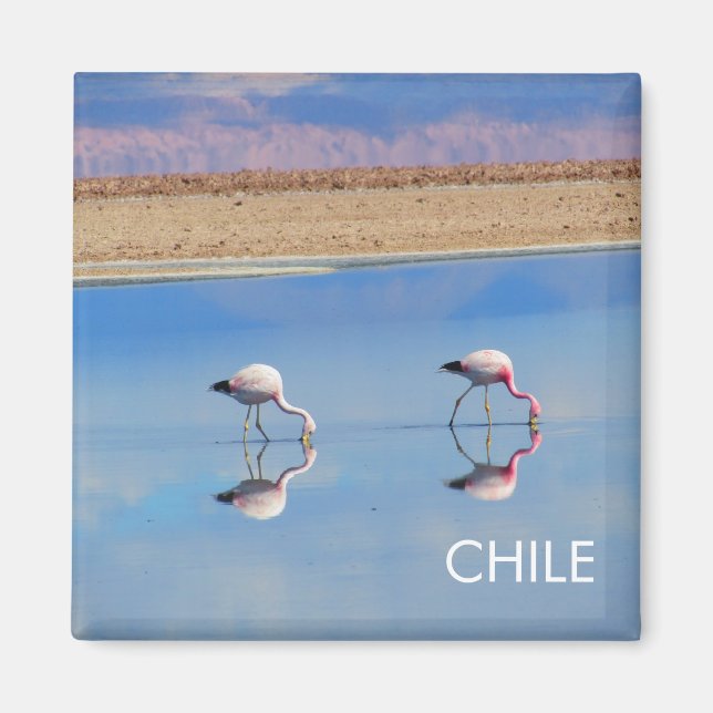 Imã Flamingo, Deserto de Atacama, Imagem do Chile (Frente)