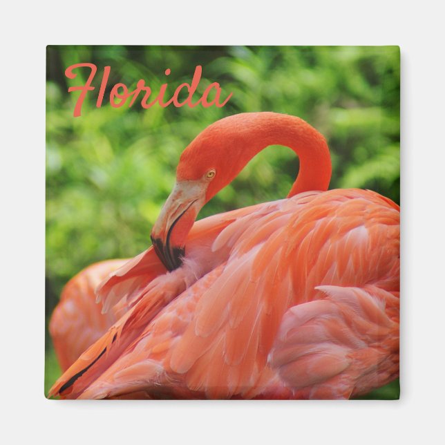 Imã Flamingo Magnet Square (Frente)