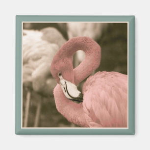 Imã Flamingo Modestável