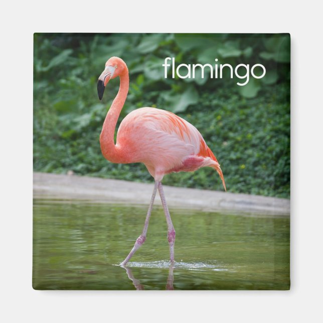 Imã Flamingo Refrigerator Magnet (Frente)