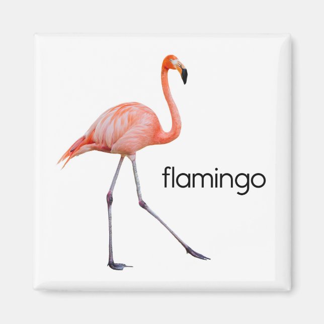 Imã Flamingo Rosa (Frente)