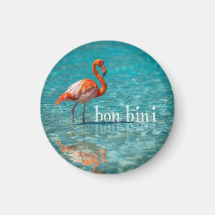 Imã Flamingo rosa ilhas abc