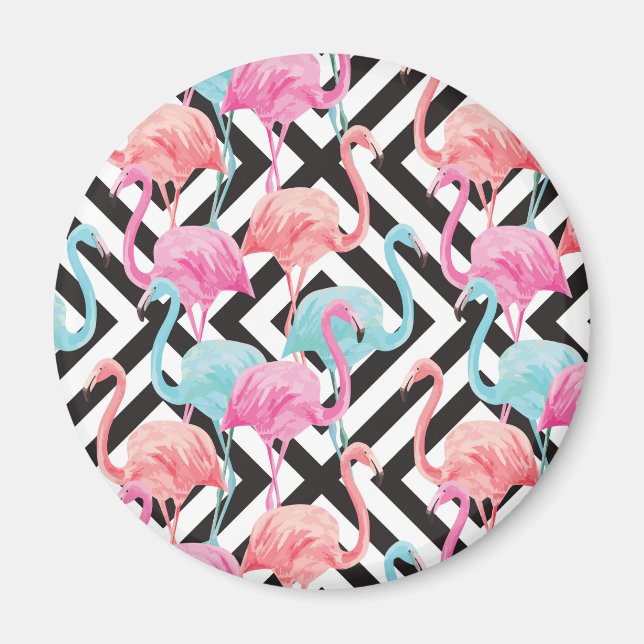 Imã Flamingoes no Padrão de Design Negrito (Frente)
