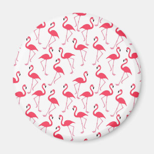 Imã flamingos