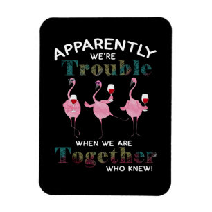 Ímã Flamingos Aparentemente somos Flamingos