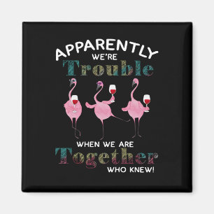 Imã Flamingos Aparentemente somos Flamingos