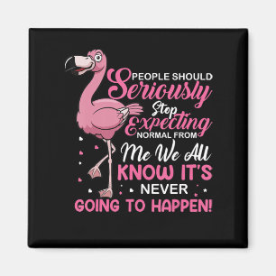 Imã Flamingos  As Pessoas Devem Parar De Esperar Norma