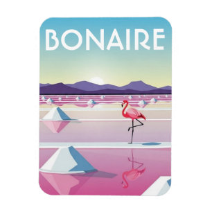 Ímã Flamingos em Bonaire Caribe Holandês