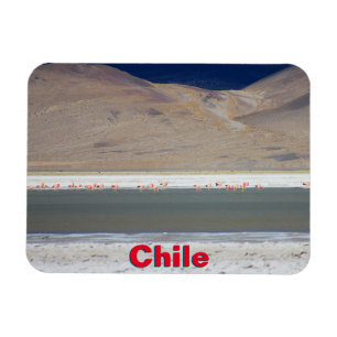 Ímã Flamingos em Salar del Huasco, Chile