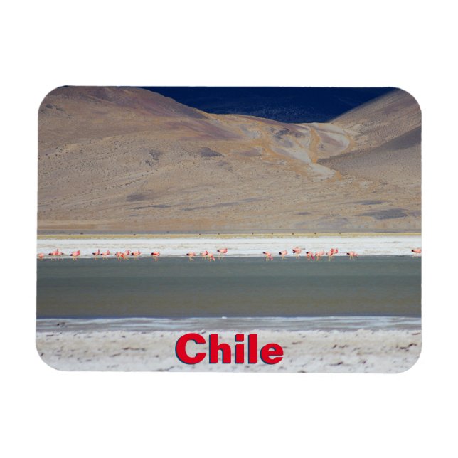 Ímã Flamingos em Salar del Huasco, Chile (Horizontal)