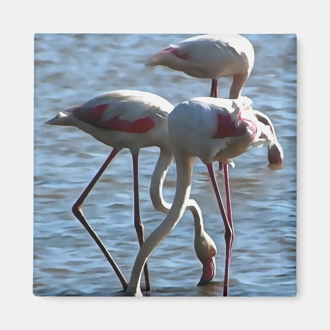 Imã Flamingos Tempo de Alimentação Pintura em acrílico (Frente)