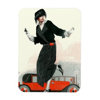Ímã Flapper e Roadster