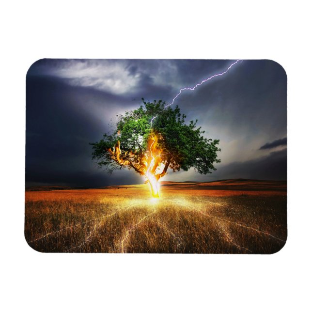 Ímã flash- 845848 FANTASY LIGHTNING STRIKE TREE BACKGR (Horizontal)