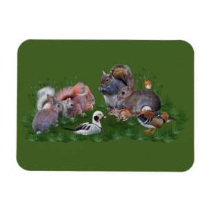 Ímã Flexi Magnet Para Animais Da Madeira